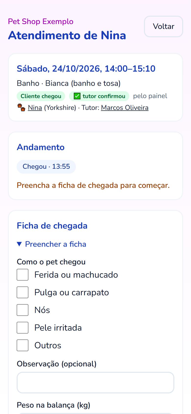 Tela da equipe com o andamento do atendimento e a ficha de chegada